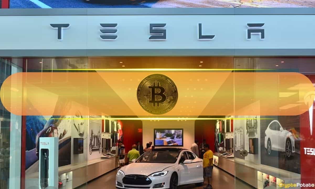 Elon Musk-Led Tesla Reports Massive $600M Bitcoin Gain in Q4, 2024