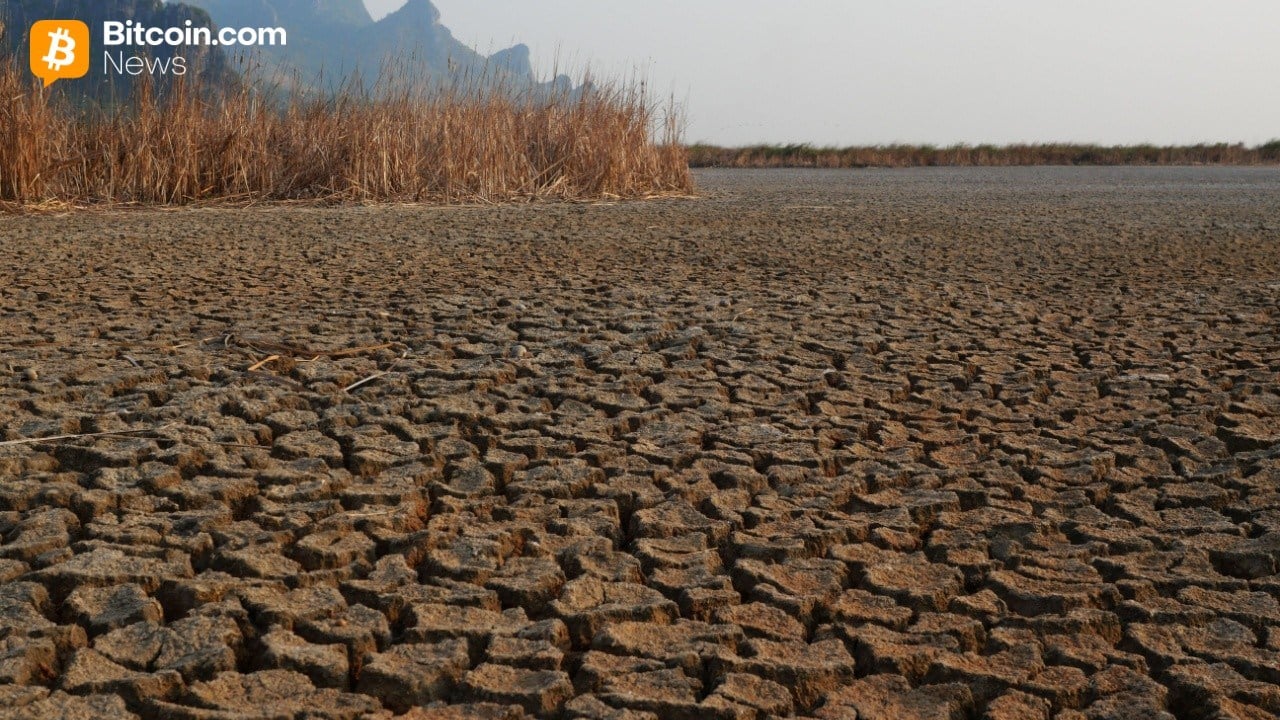 Mike McGlone’s Scorched Earth Prediction: $56K Bitcoin in the Horizon